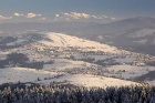 Agroturystyka Pod lasem